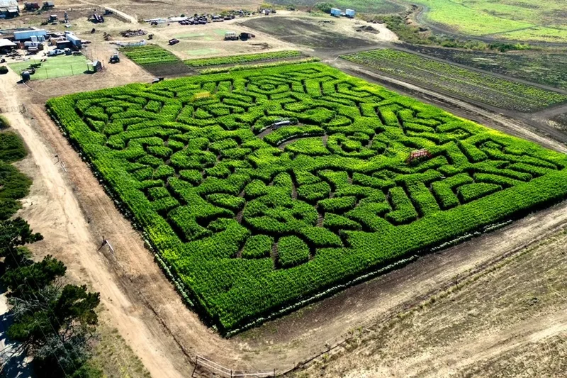 Brookshire Farms photo