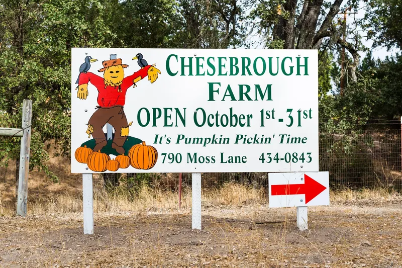 Chesebrough Farm photo