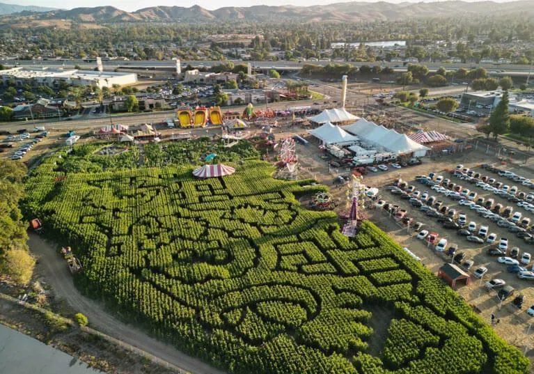 Frosty's Forest Christmas Trees & Pumpkin Patch photo