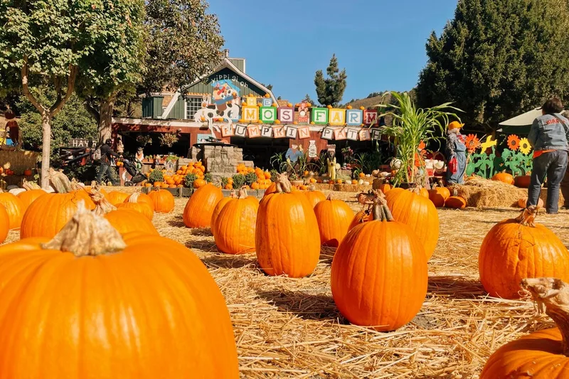 Lemos Farm photo