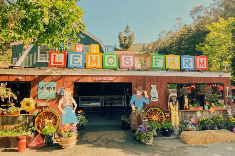 Lemos Farm photo
