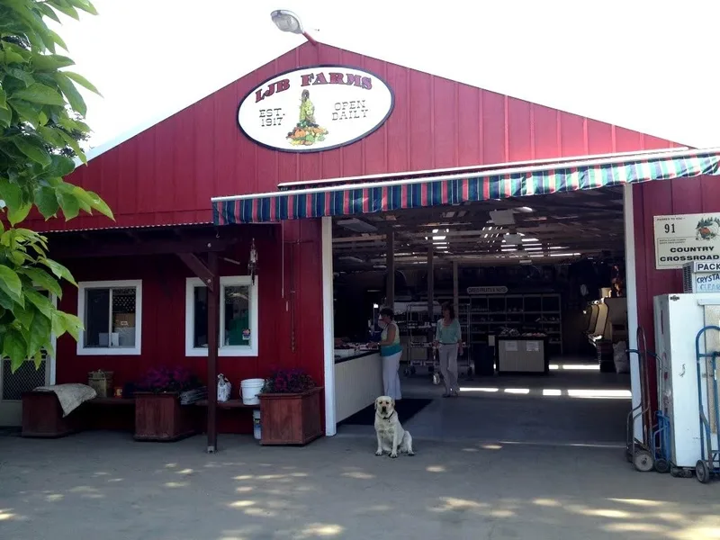 LJB Farms Pumpkin Patch