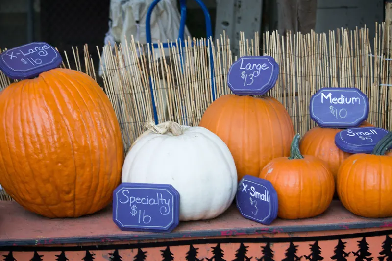 MEF's Pumpkin Patch and Spooky Haunted Trail