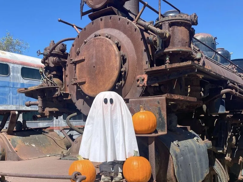 Pacific Southwest Railway Museum photo