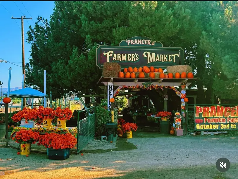 Prancer's Farm