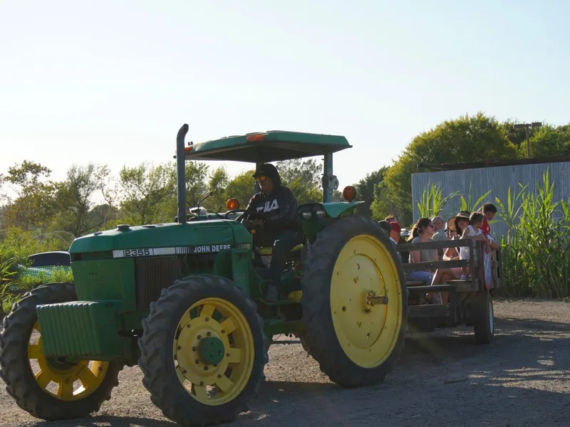 Tanaka Farms