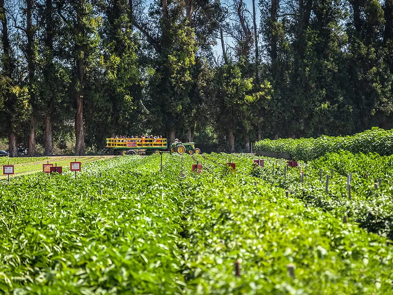 Underwood Family Farms - Moorpark