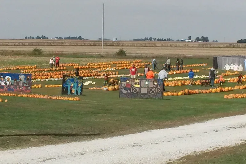 Black Bart's Pumpkin Patch photo