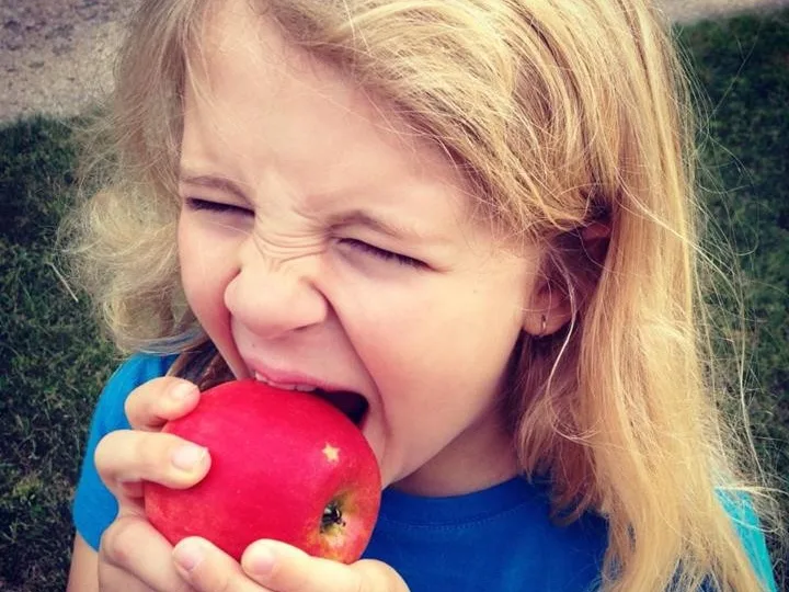 Edwards Apple Orchard West photo