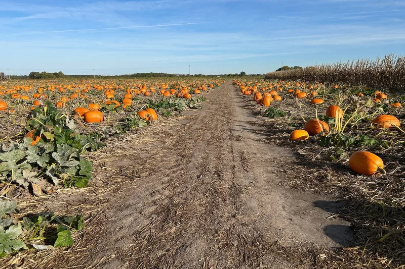 Greene Fields Farm photo