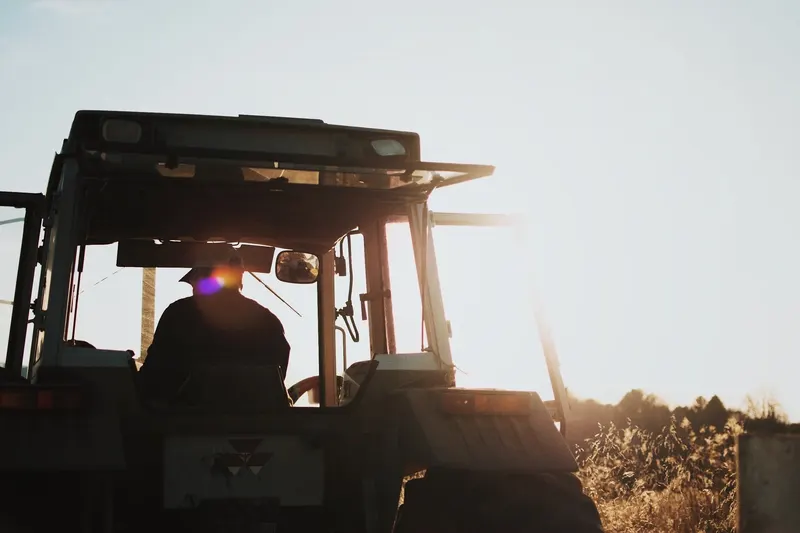 Kroll's Fall Harvest Farm photo