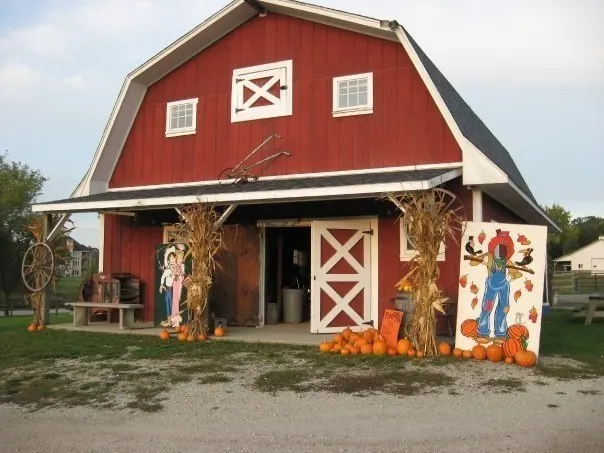 Patch 22, Ltd Pumpkins and Pony rides photo