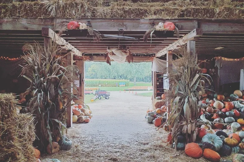Sugar Grove Pumpkin Farm & Produce