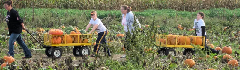 Armands Harper Valley Farms