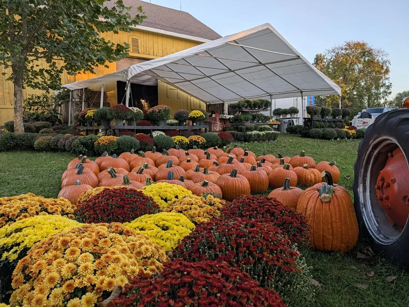 Hilger Family Farm