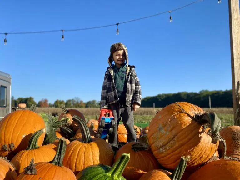Oak Hill Tree Farm - Ucut and fresh trees photo