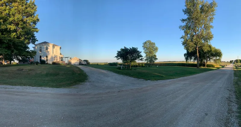 Taylor Farm Pumpkin Patch and Corn Maze photo