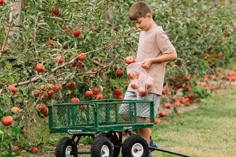 The Orchard at Fair Oaks Farms