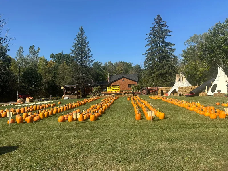 Baba Mary's Fall Harvest Sale photo