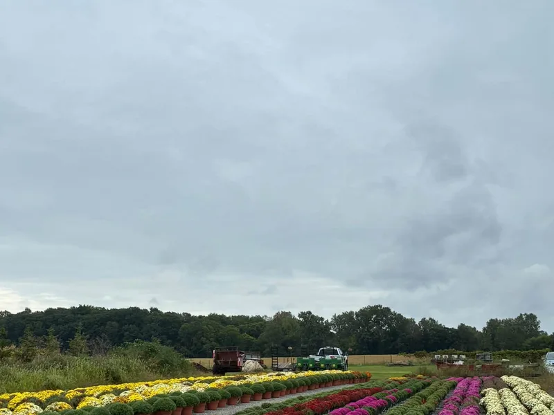 Barkham Creek Farms photo