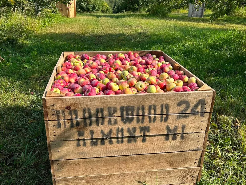 Brookwood Fruit Farm photo