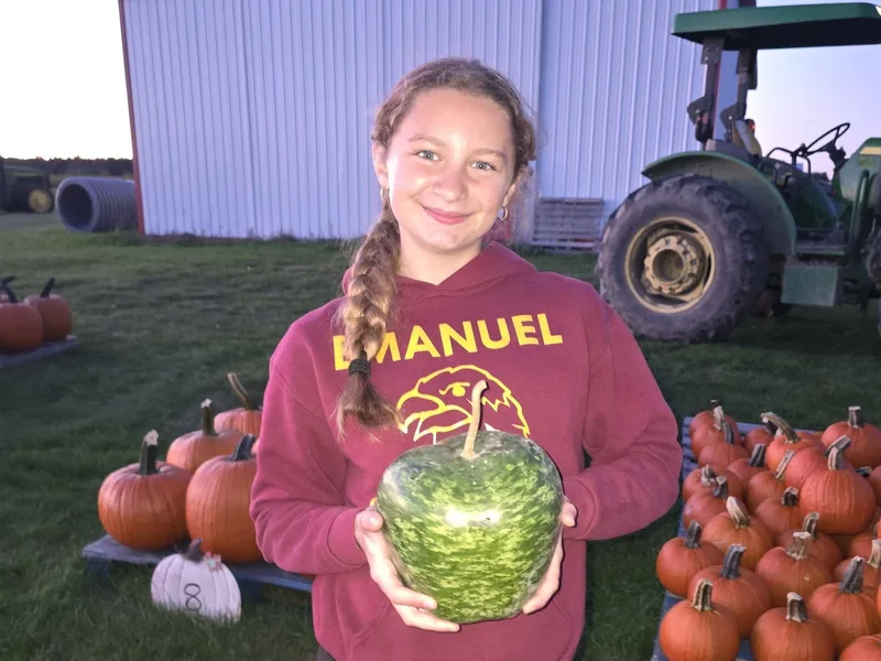 Brycelynn's Pumpkin Patch