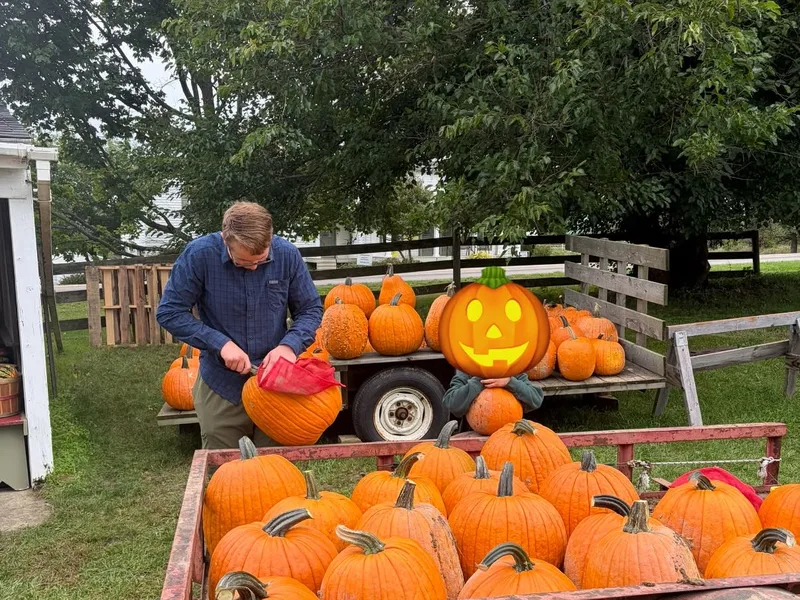 Clearview Orchards
