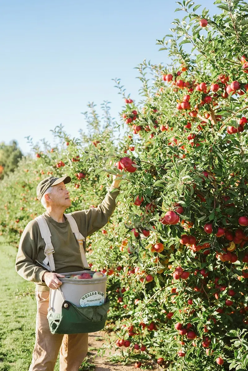 Golden River Orchard photo