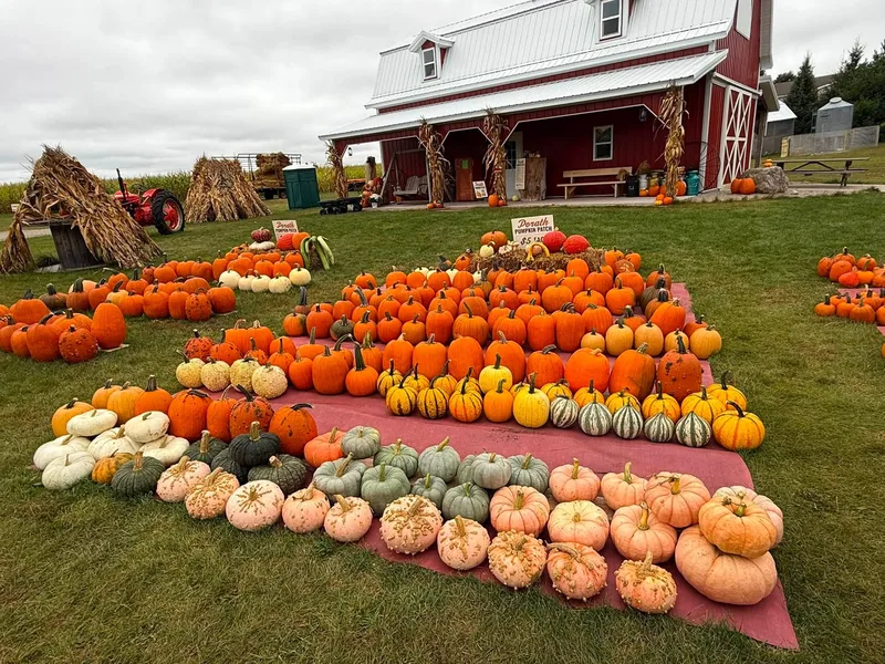 Porath Pumpkin Patch and Family Farm