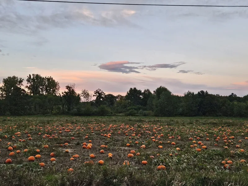 Pregitzer Farm Market, Llc photo