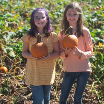 Von Thun Farms photo