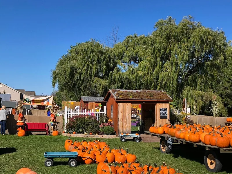 Badding Farm Market and Garden Center