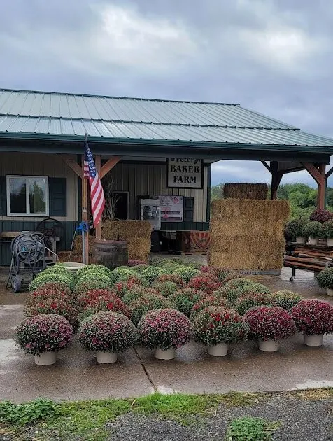 Baker Farm photo