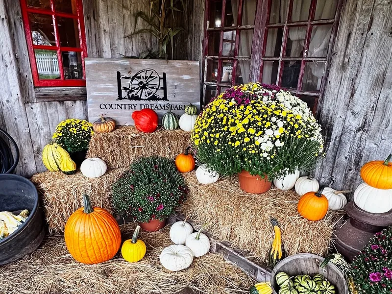 Country Dreams Farm