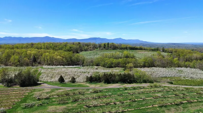 Fix Bros Fruit Farm photo