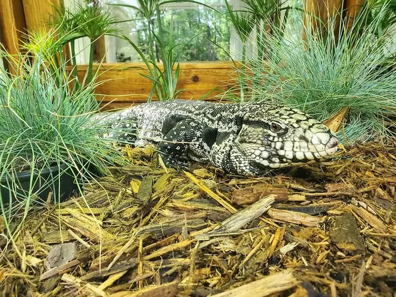 Fort Rickey Children's Discovery Zoo photo
