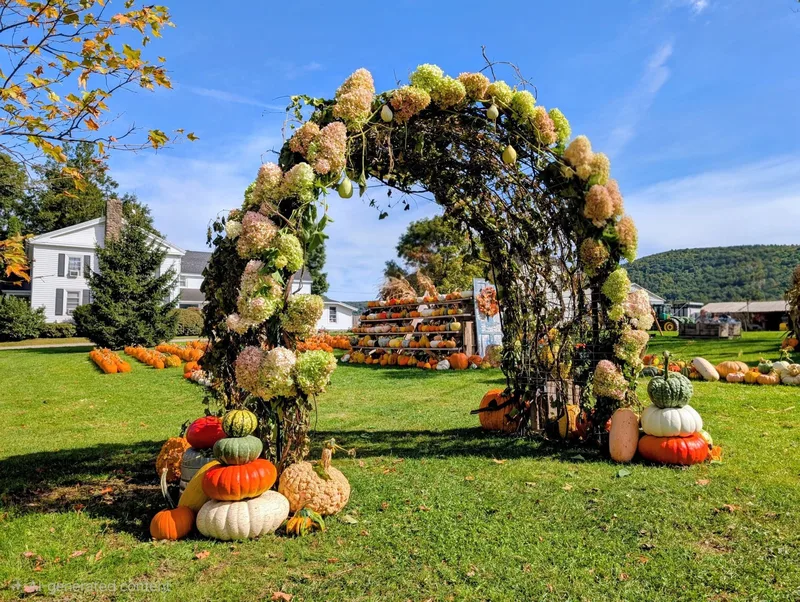 Hanehan Fall Produce