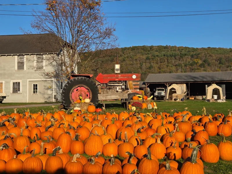 Hanehan Fall Produce photo
