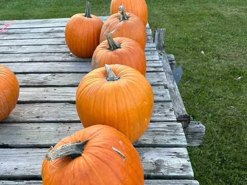 Hasbrouck's Indian House Farm