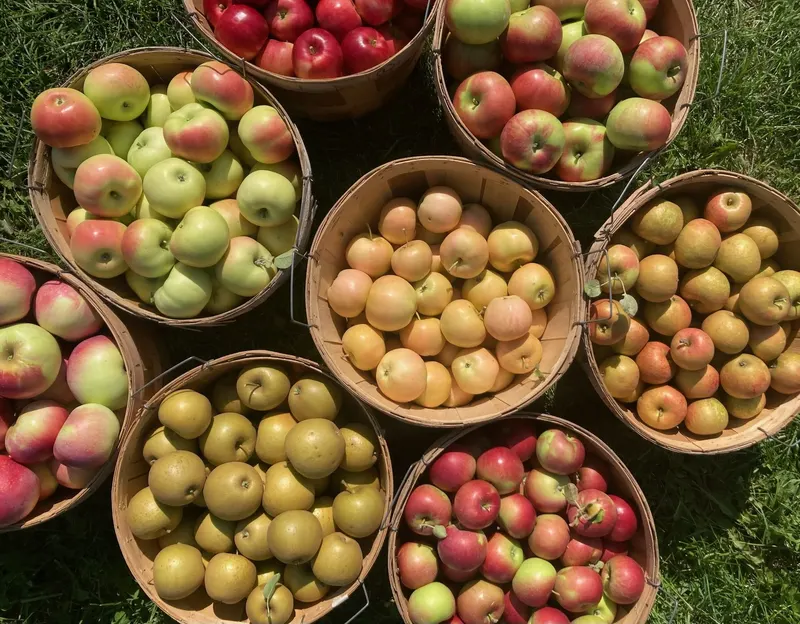 LynOaken Farms
