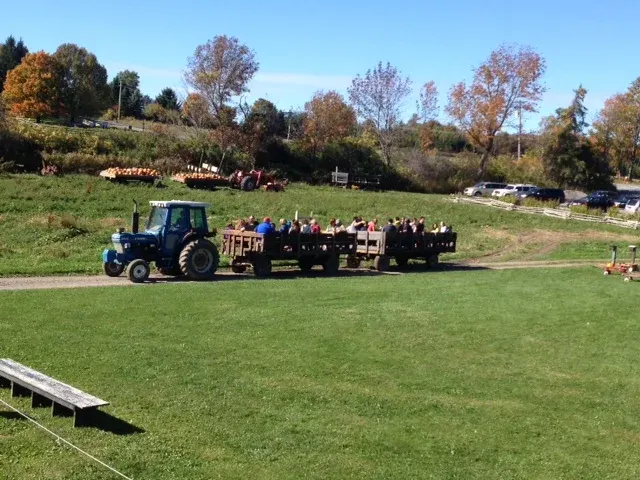 Our Farm photo