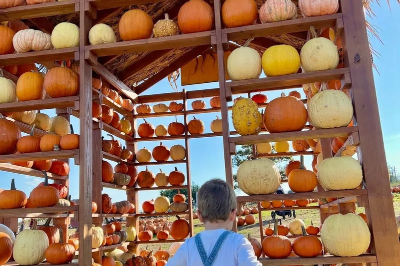 Outhouse Orchards