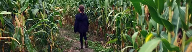 Penny's Country Farm photo