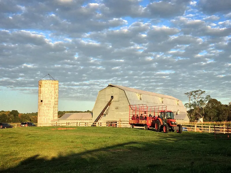 Pierson's Farm, a family place for making memories! photo