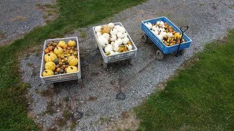 Smithome Farms photo