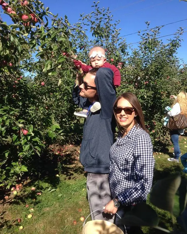 Smith's Orchard Cider Mill photo