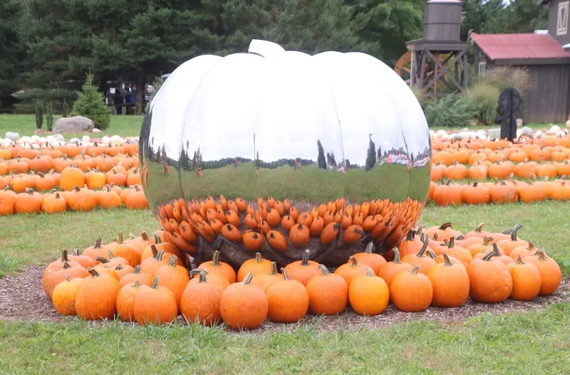 Stokoe Farms