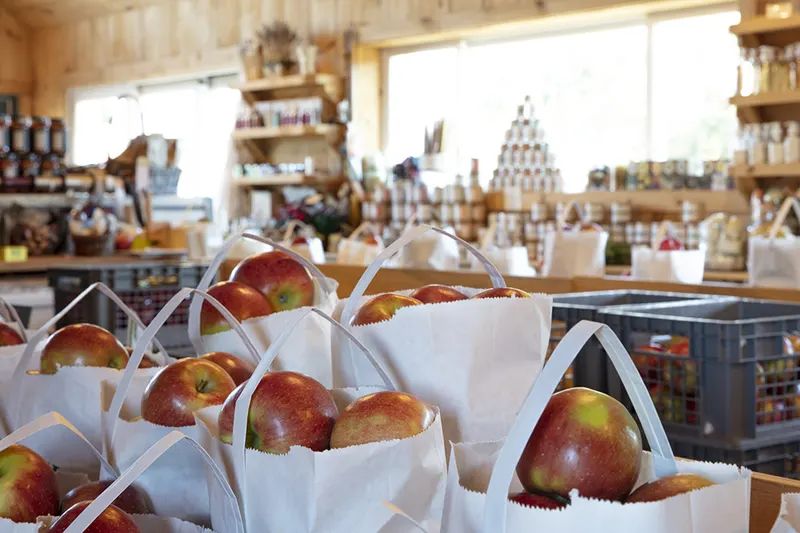 The Milk Pail Farm and Orchard