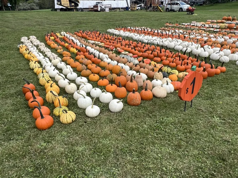 The Weller Farm photo