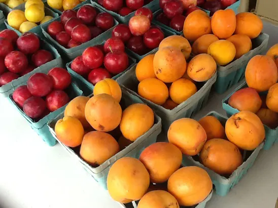 Whittier Fruit Farm photo